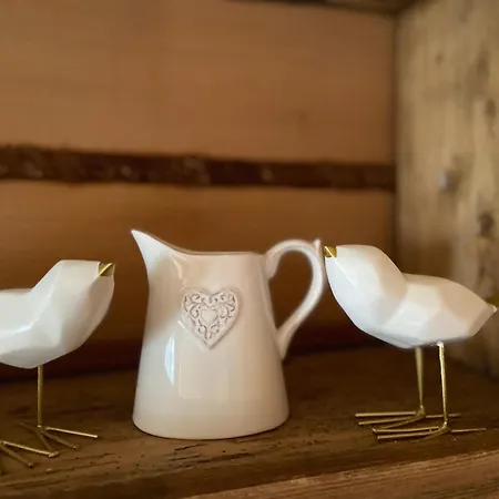 Dom Numer 3 扎科帕内