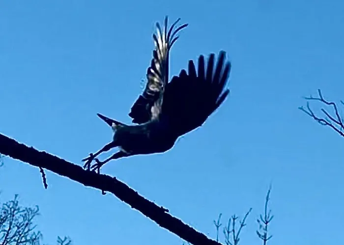 Dom Numer 3 * Zakopane